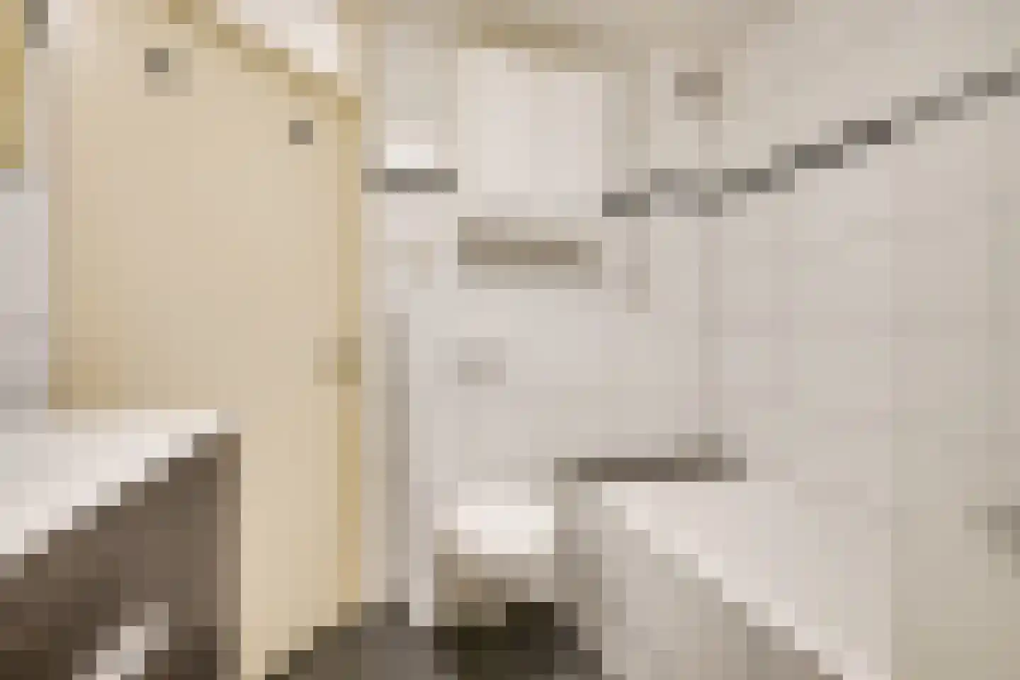 Reeweide 4 Nieuwegein thumbnail 30