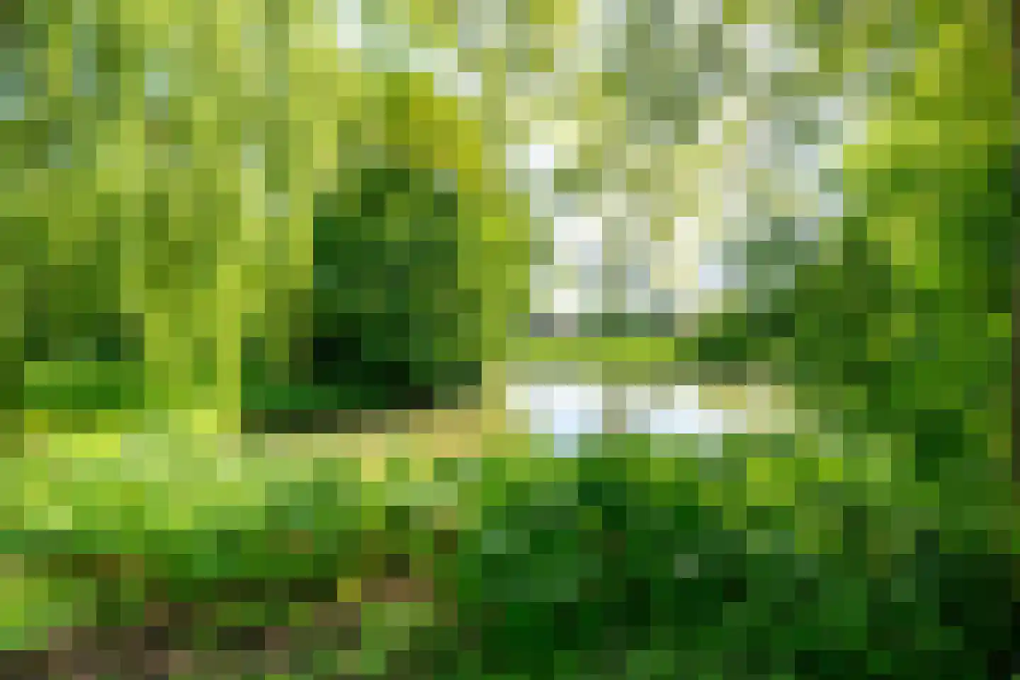 Reeweide 4 Nieuwegein thumbnail 4