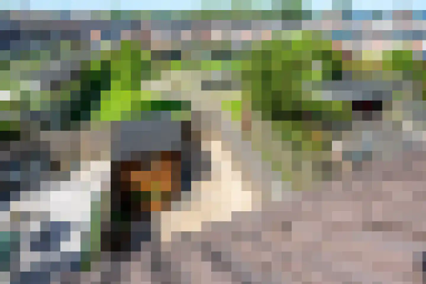 Reeweide 4 Nieuwegein thumbnail 41