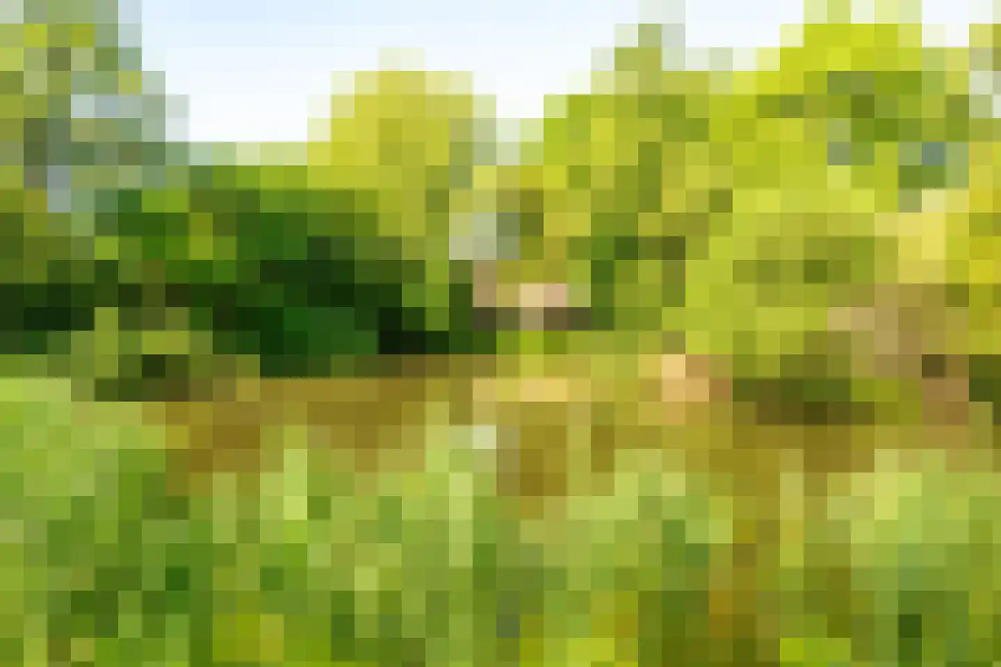 Reeweide 4 Nieuwegein thumbnail 52