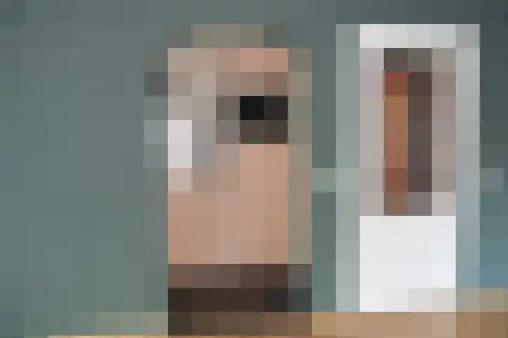 Reewoude 17 Herkenbosch thumbnail 11