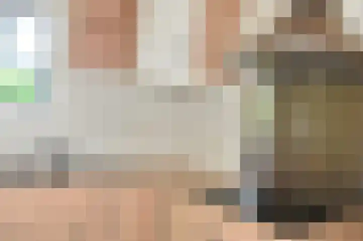 Reewoude 17 Herkenbosch thumbnail 13