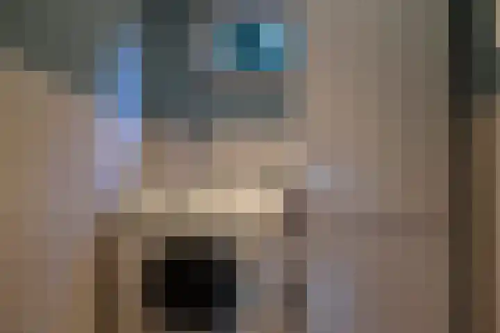 Reewoude 17 Herkenbosch thumbnail 24