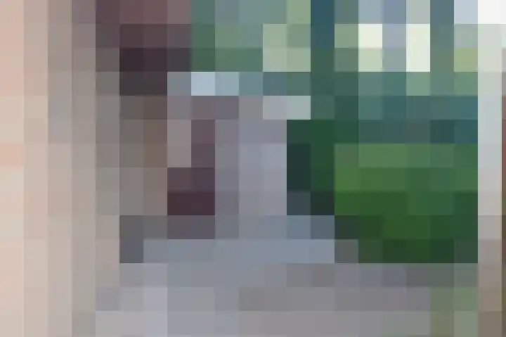 Reewoude 17 Herkenbosch thumbnail 26