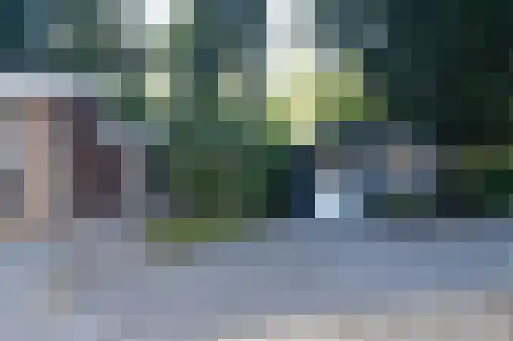 Reewoude 17 Herkenbosch thumbnail 29