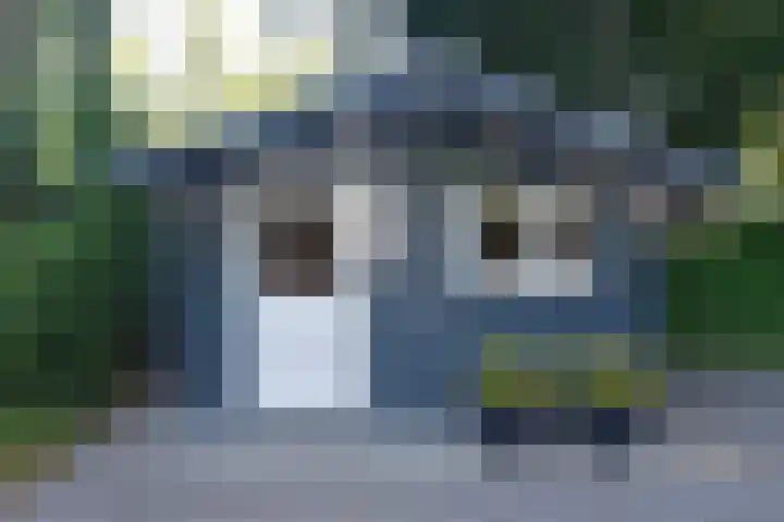 Reewoude 17 Herkenbosch thumbnail 30