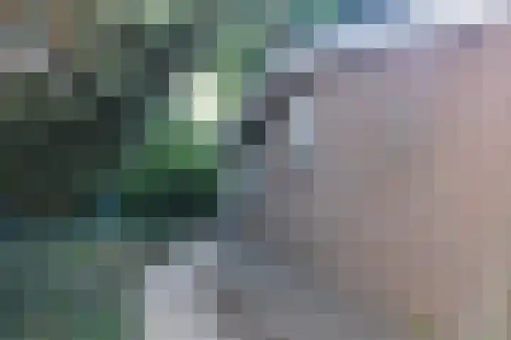 Reewoude 17 Herkenbosch thumbnail 34