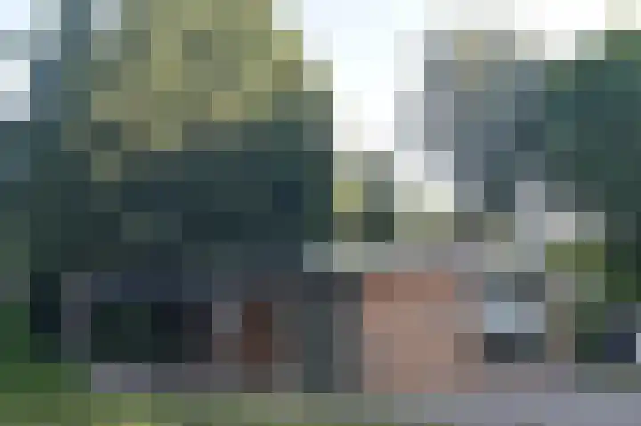 Reewoude 17 Herkenbosch thumbnail 35
