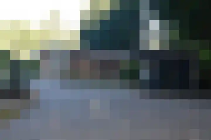 Reewoude 17 Herkenbosch thumbnail 39