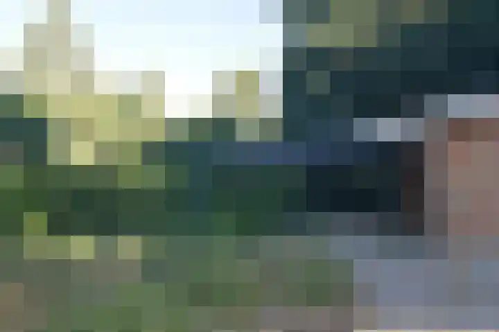 Reewoude 17 Herkenbosch thumbnail 40