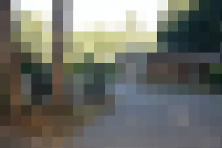 Reewoude 17 Herkenbosch thumbnail 41