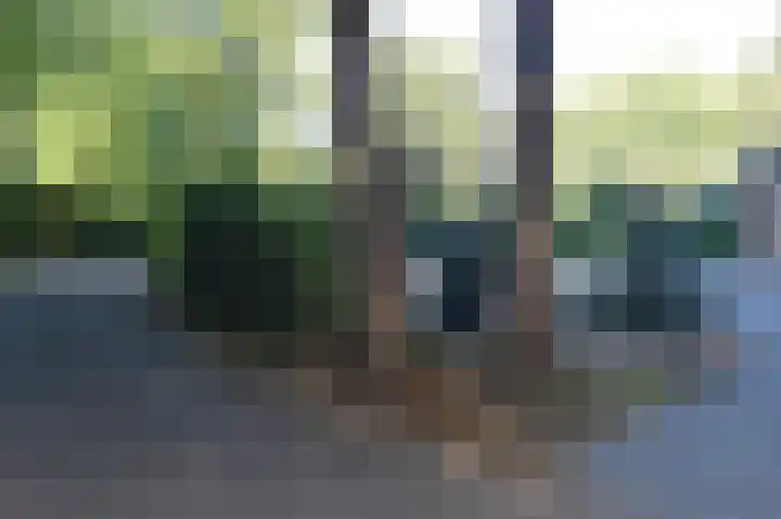 Reewoude 17 Herkenbosch thumbnail 42