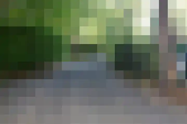 Reewoude 17 Herkenbosch thumbnail 43