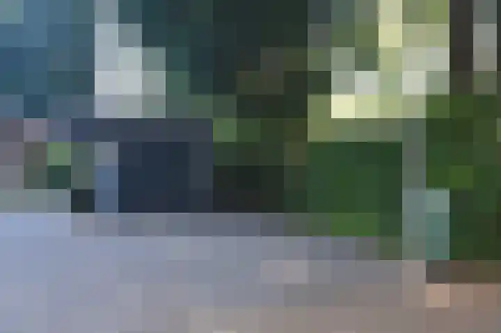 Reewoude 17 Herkenbosch thumbnail 44