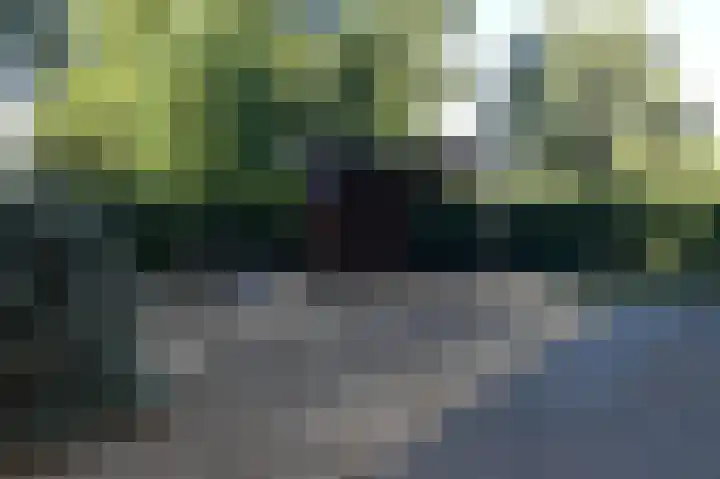 Reewoude 17 Herkenbosch thumbnail 45