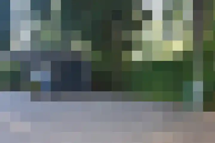 Reewoude 17 Herkenbosch thumbnail 46