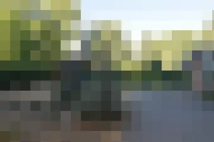 Reewoude 17 Herkenbosch thumbnail 48