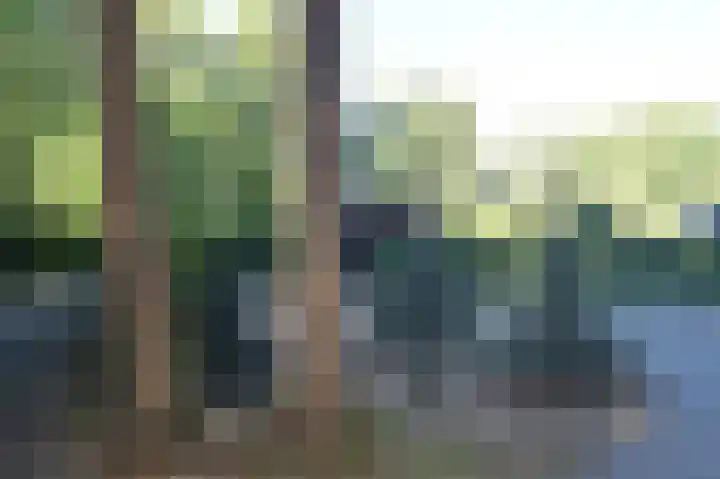 Reewoude 17 Herkenbosch thumbnail 49