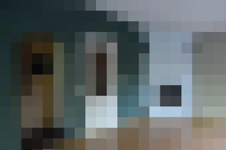 Reewoude 17 Herkenbosch thumbnail 9