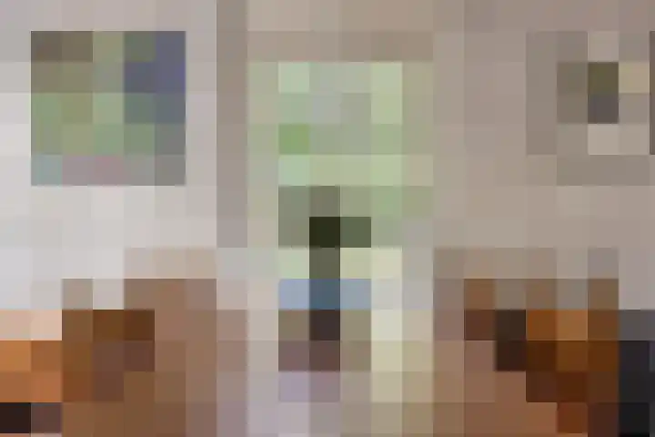 Reewoude 49 Herkenbosch thumbnail 10
