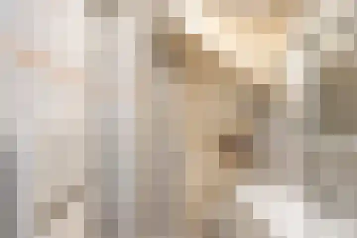 Reewoude 49 Herkenbosch thumbnail 16