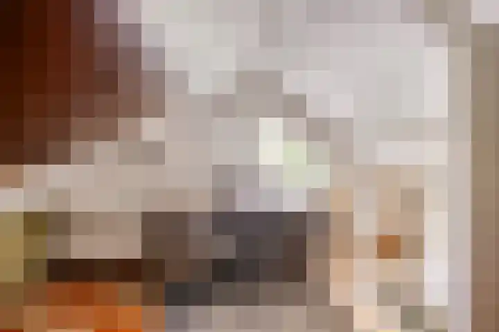 Reewoude 49 Herkenbosch thumbnail 20
