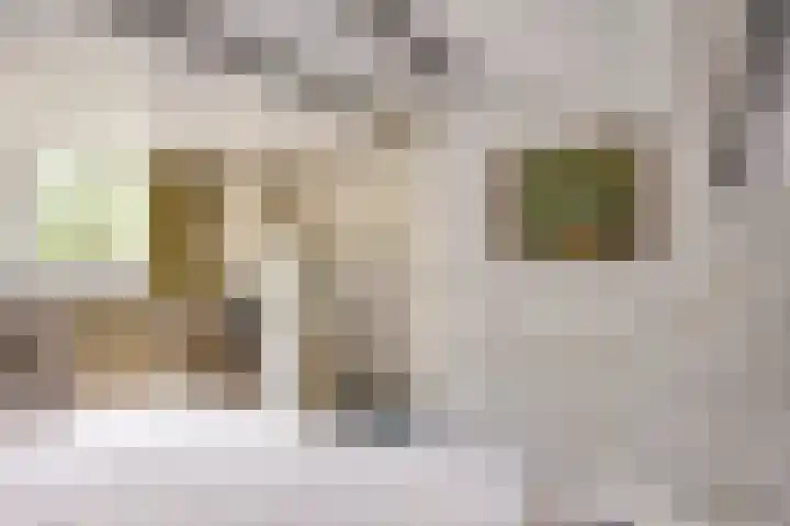 Reewoude 49 Herkenbosch thumbnail 22