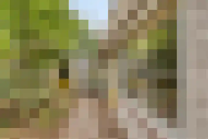 Reewoude 49 Herkenbosch thumbnail 23