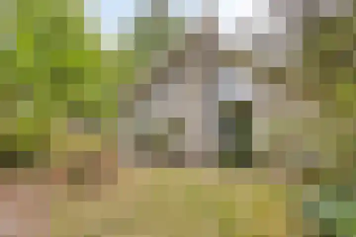 Reewoude 49 Herkenbosch thumbnail 27
