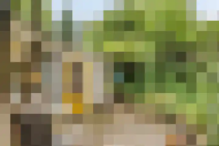 Reewoude 49 Herkenbosch thumbnail 31