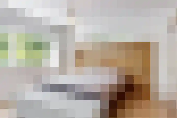 Reewoude 51 Herkenbosch thumbnail 13