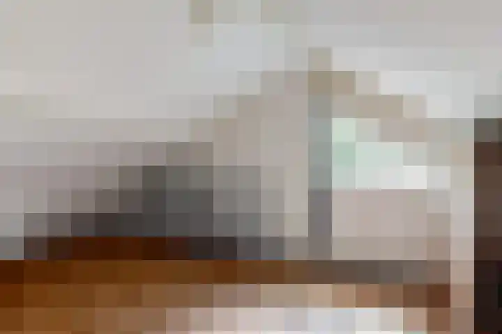 Reewoude 51 Herkenbosch thumbnail 22