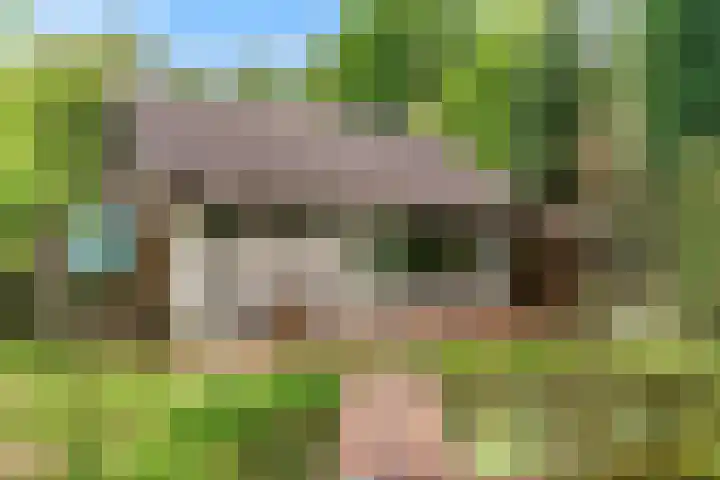 Reewoude 51 Herkenbosch thumbnail 25