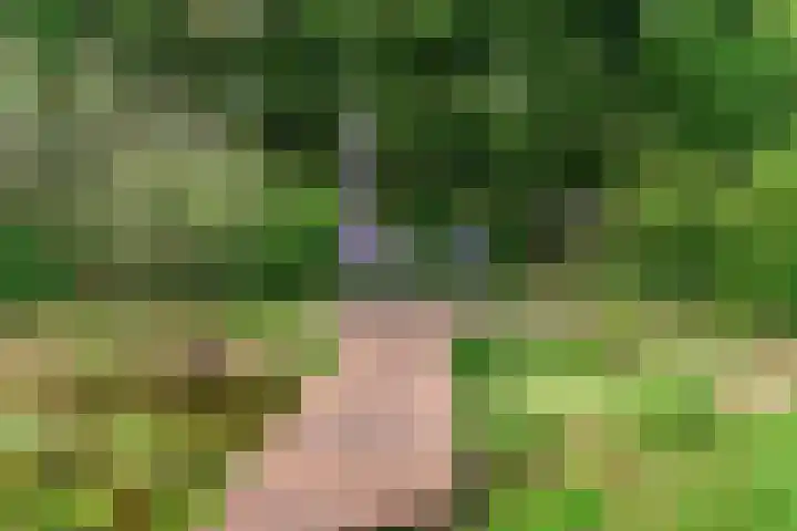 Reewoude 51 Herkenbosch thumbnail 27