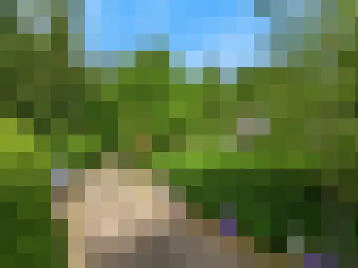 Reewoude 51 Herkenbosch thumbnail 29