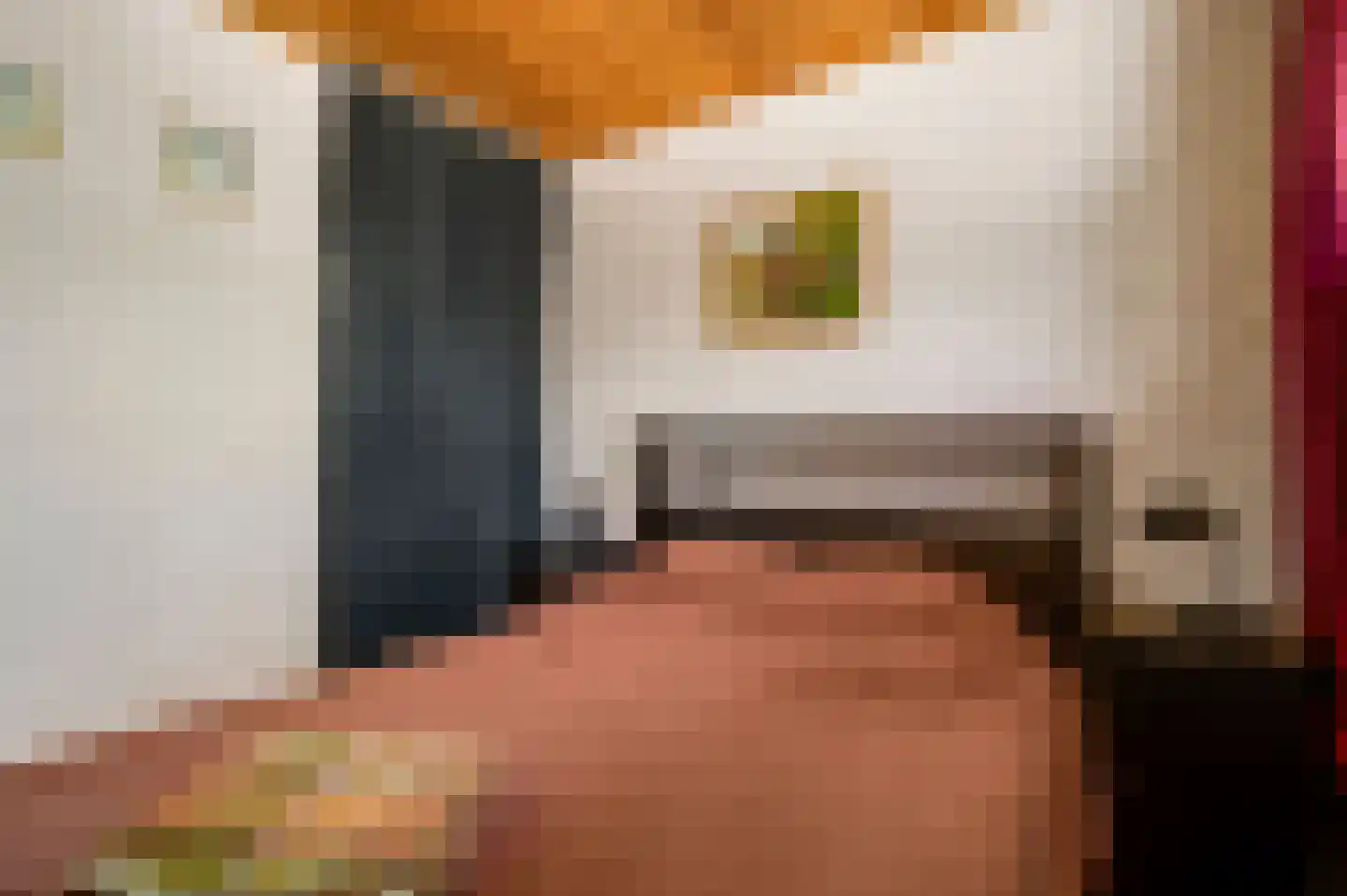 Reewoude 53 Herkenbosch thumbnail 10