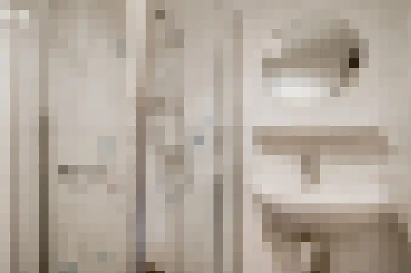 Reewoude 53 Herkenbosch thumbnail 11