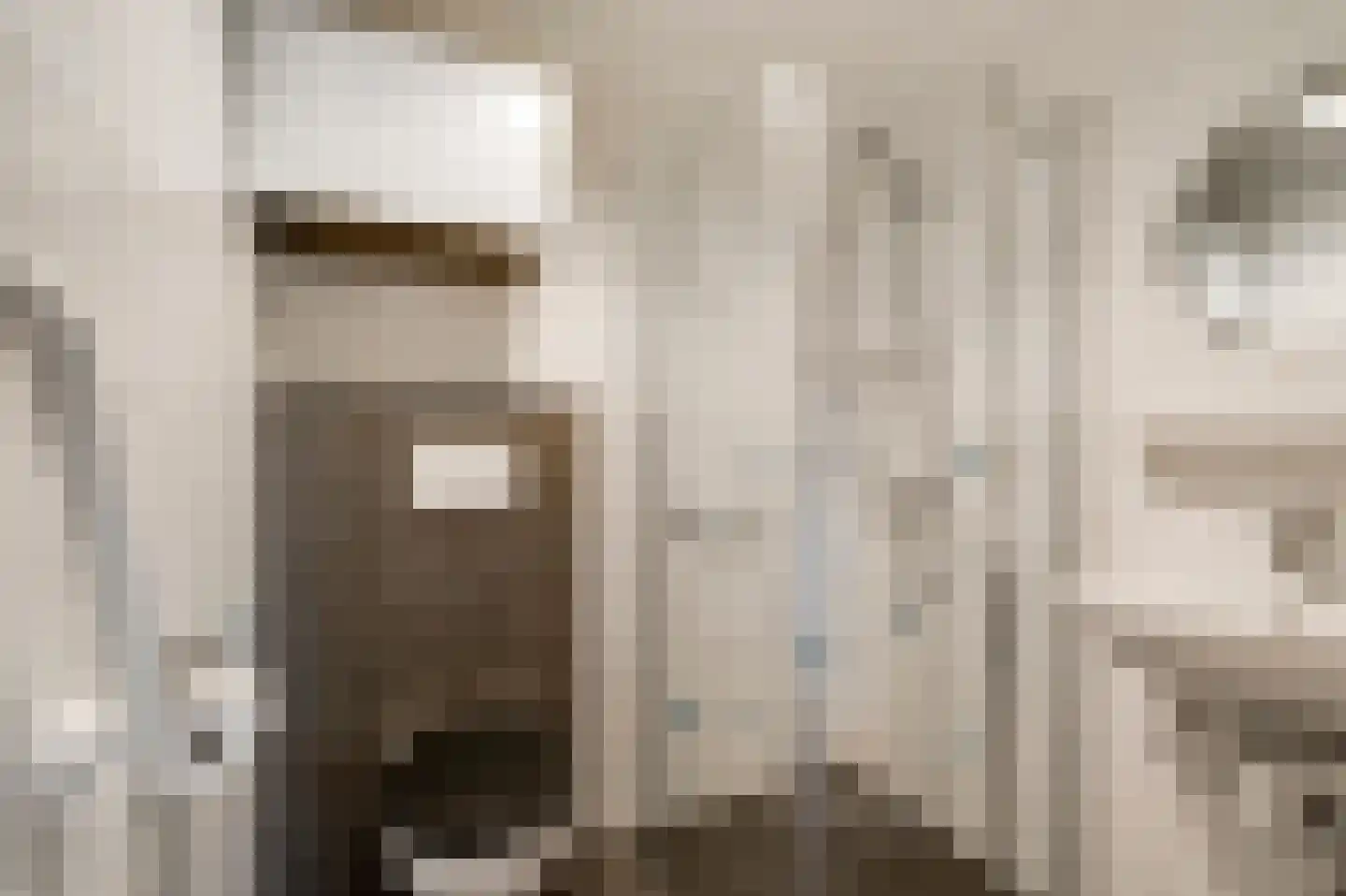 Reewoude 53 Herkenbosch thumbnail 12