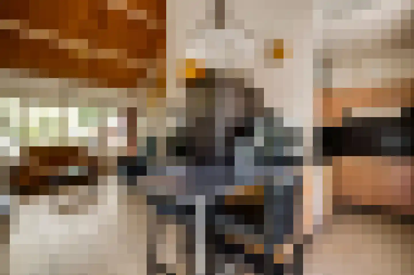 Reewoude 53 Herkenbosch thumbnail 18