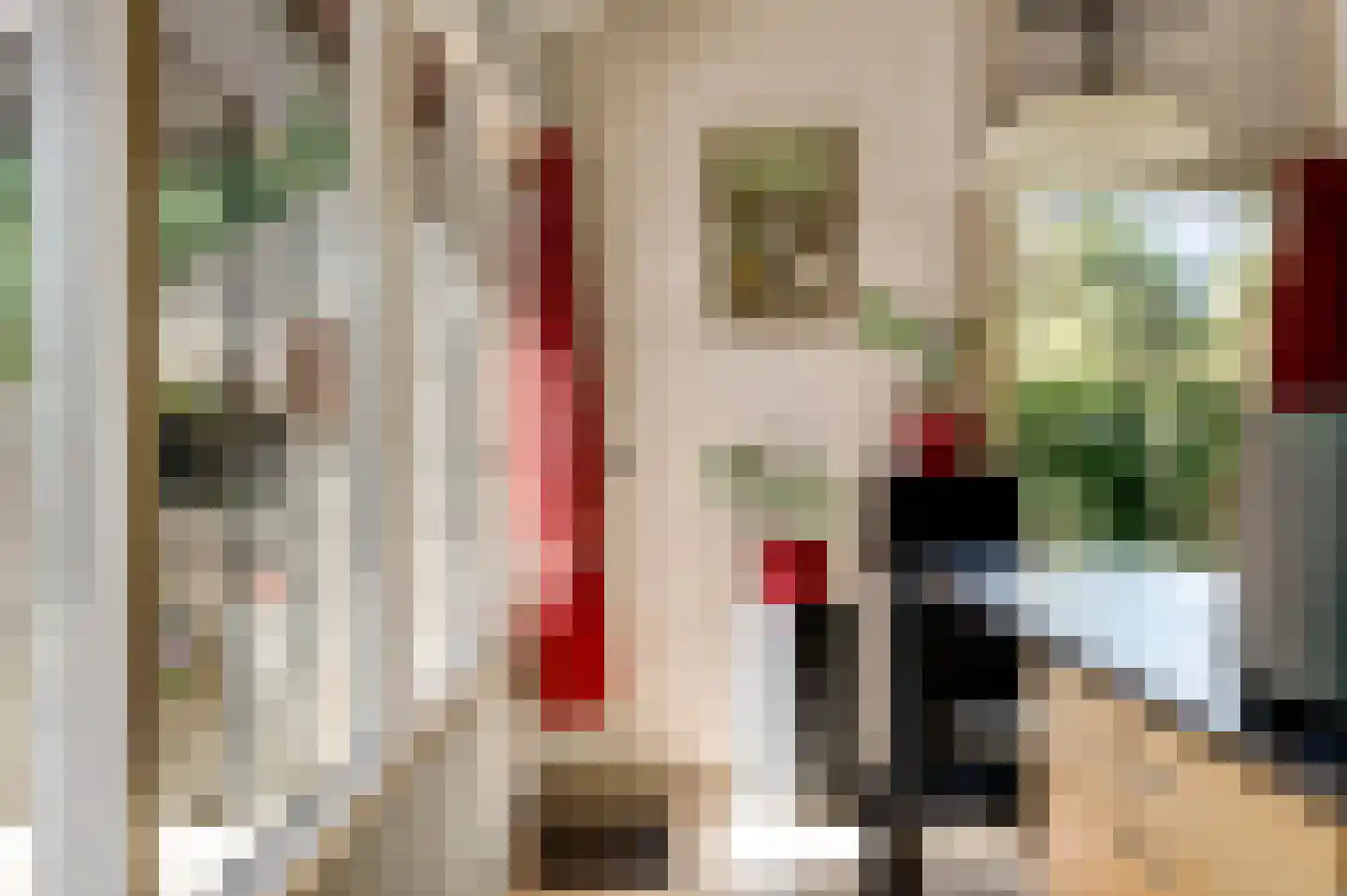 Reewoude 53 Herkenbosch thumbnail 20