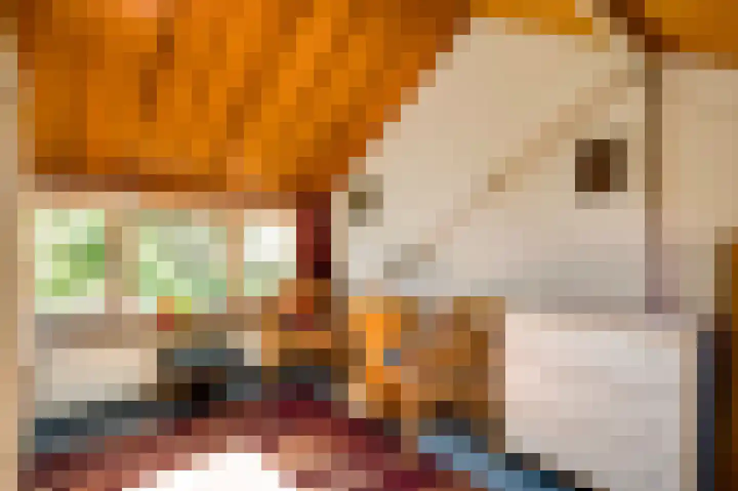 Reewoude 53 Herkenbosch thumbnail 21