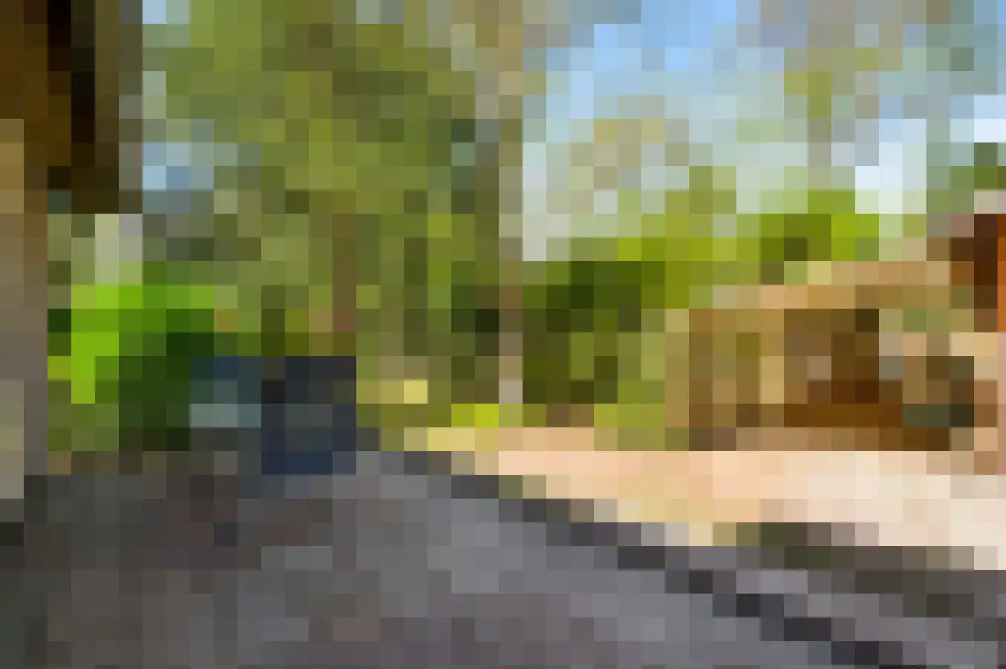 Reewoude 53 Herkenbosch thumbnail 24