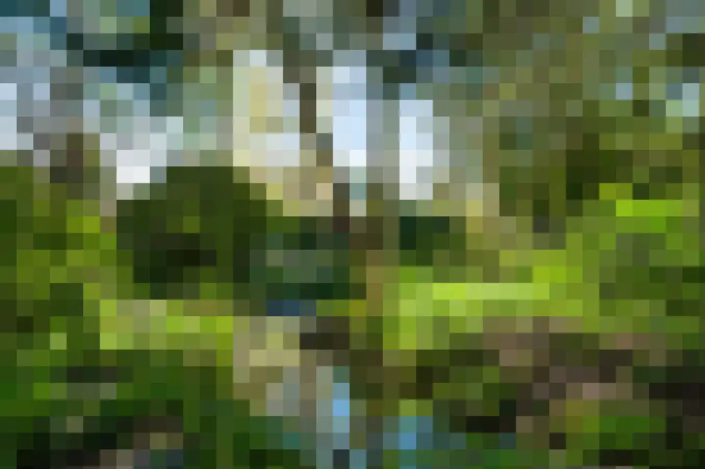 Reewoude 53 Herkenbosch thumbnail 27
