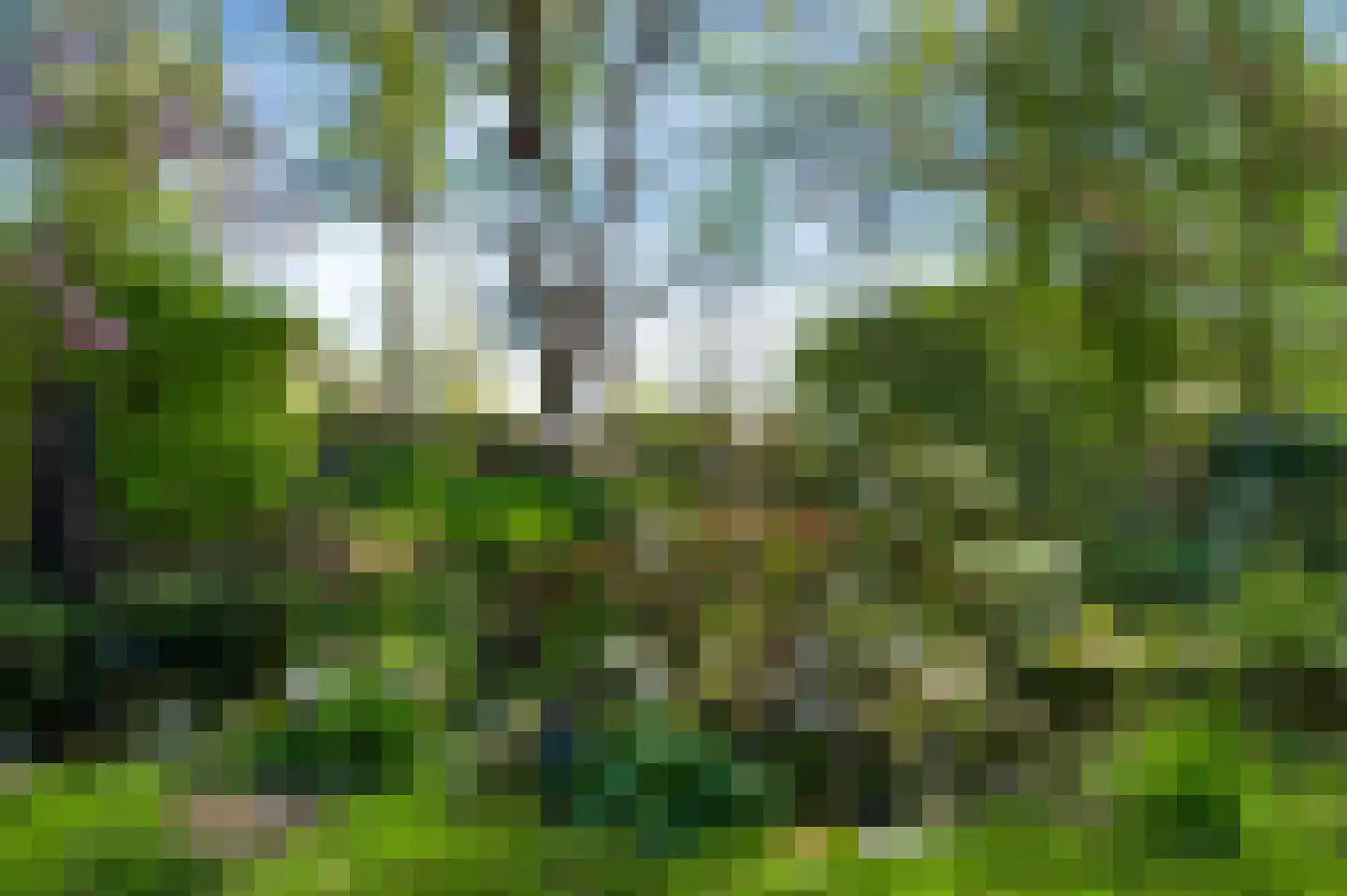Reewoude 53 Herkenbosch thumbnail 28