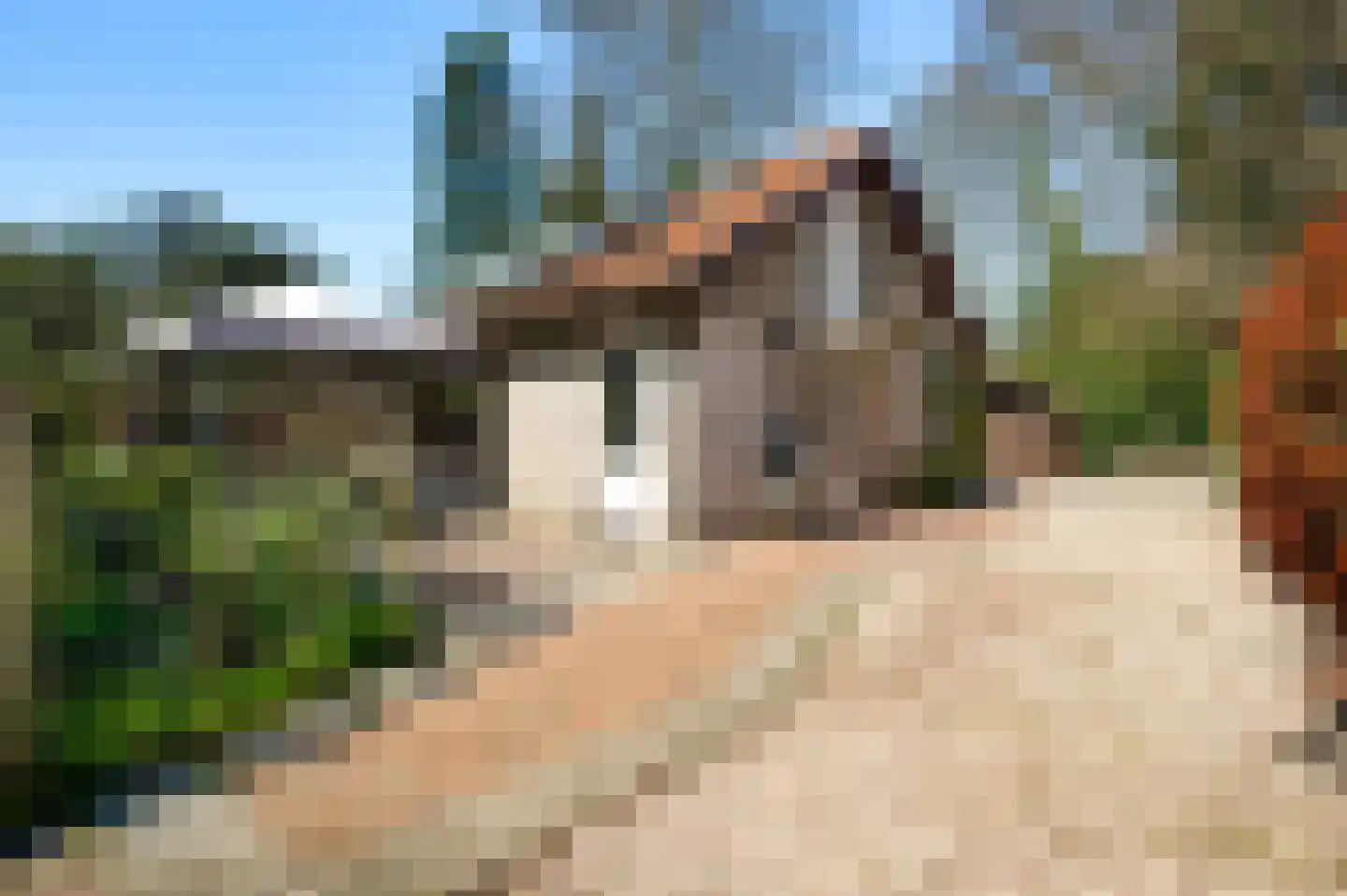 Reewoude 53 Herkenbosch thumbnail 29