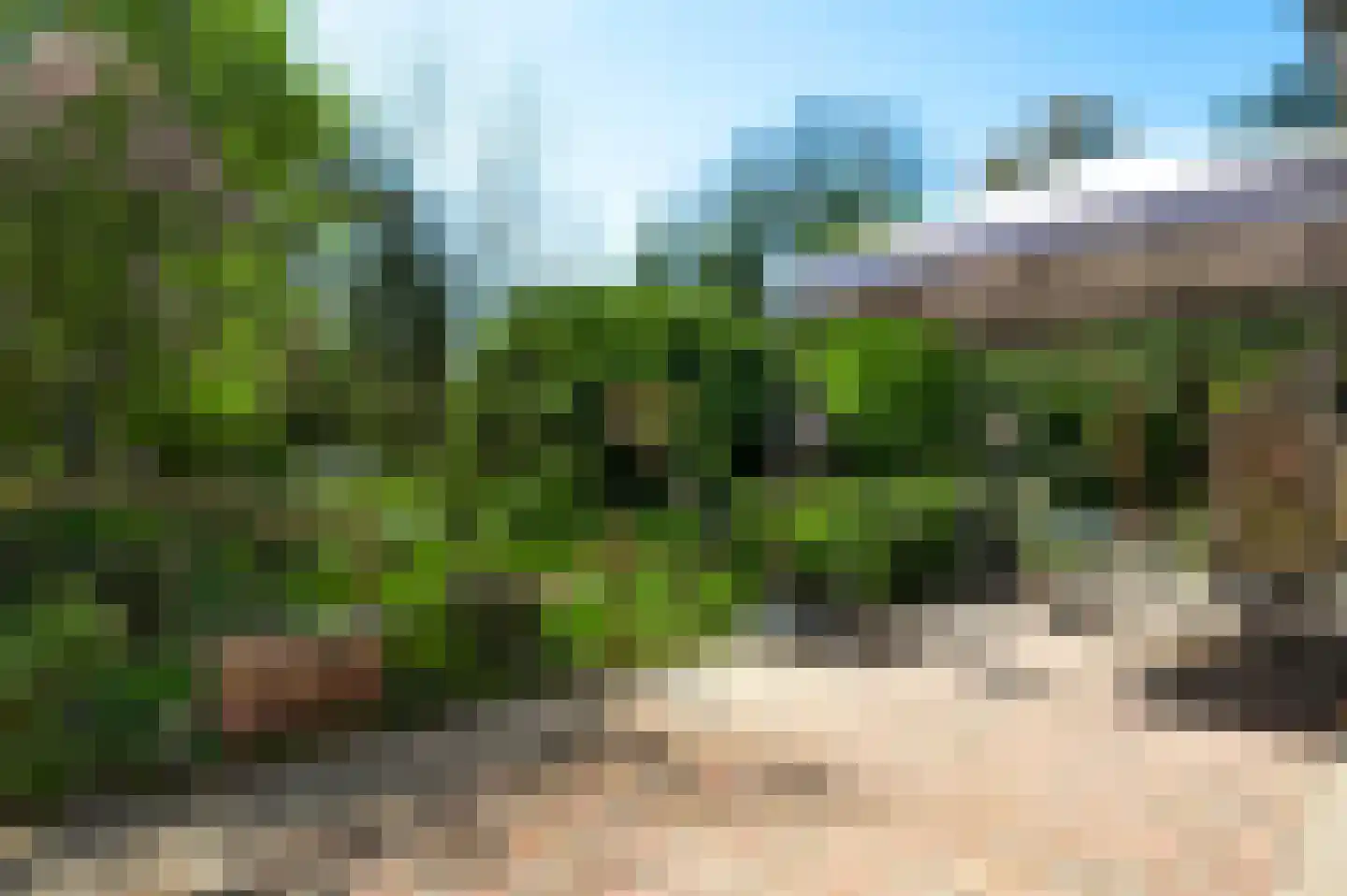 Reewoude 53 Herkenbosch thumbnail 30
