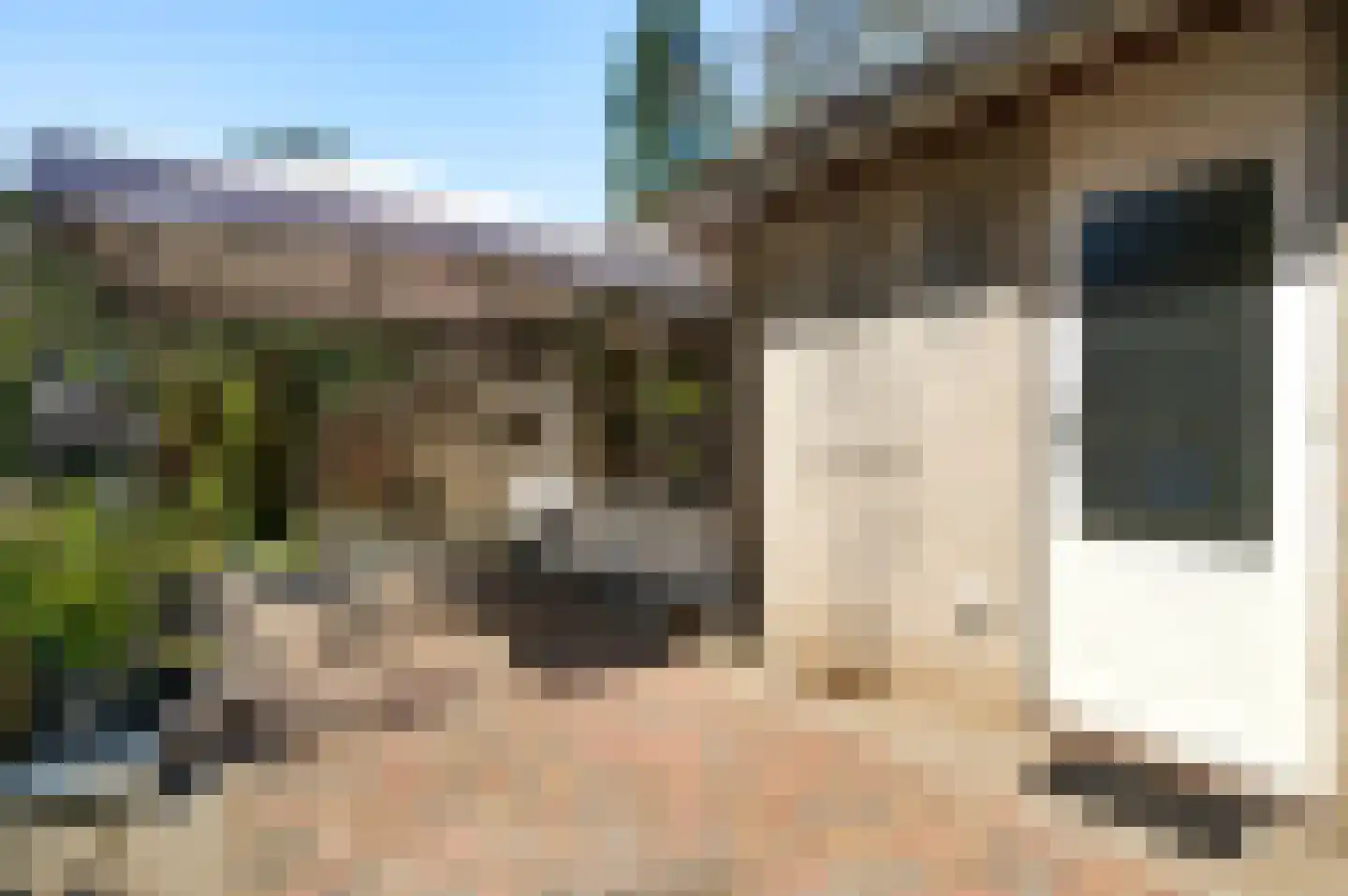 Reewoude 53 Herkenbosch thumbnail 31