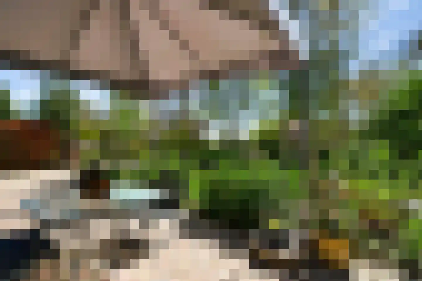 Reewoude 53 Herkenbosch thumbnail 32