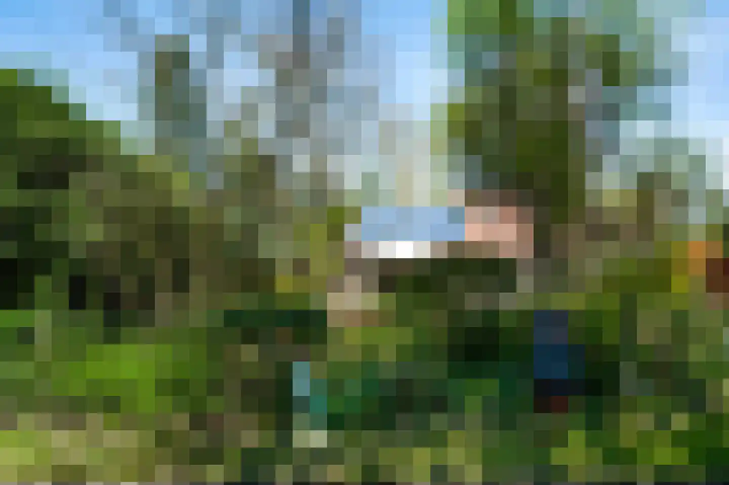 Reewoude 53 Herkenbosch thumbnail 38