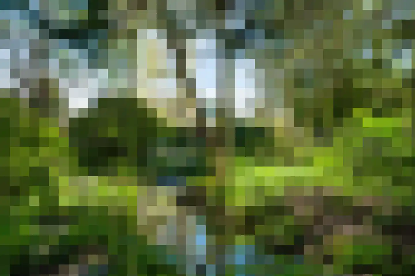 Reewoude 53 Herkenbosch thumbnail 5